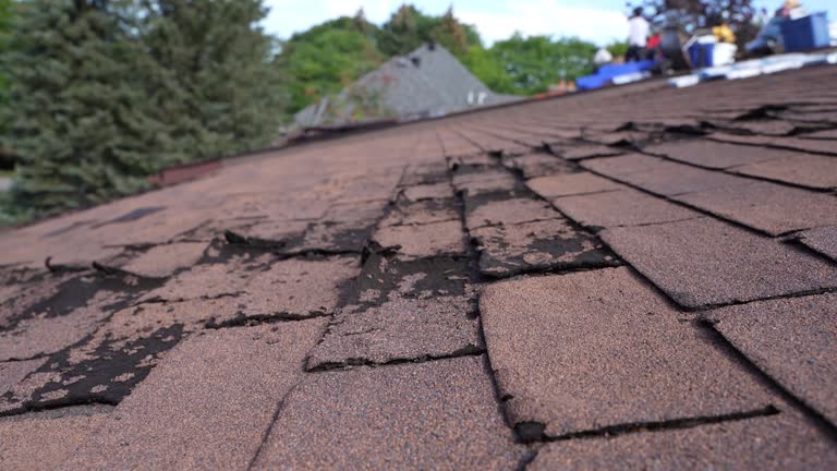 Best Roof Leak Repair  in Lusk, WY