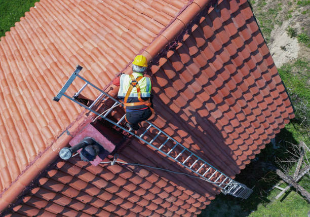Best Steel Roofing  in Lusk, WY